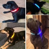 Night Safety Flashing Glow In The Dark Dog Leash